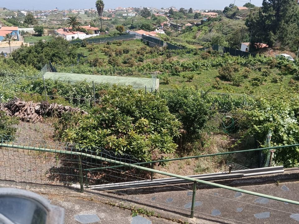 Landejendom i Llanito Perera, Tenerife - foto 4